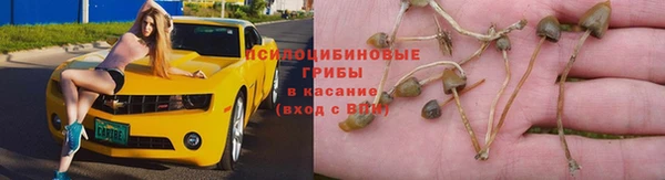 марки lsd Аркадак