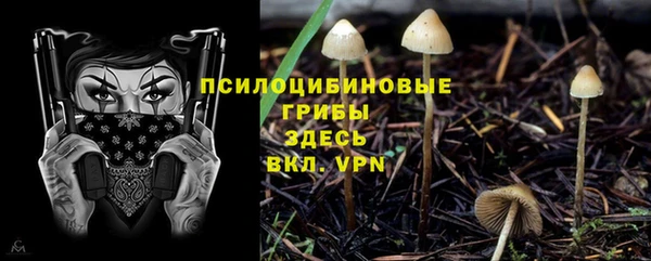 амф Арсеньев