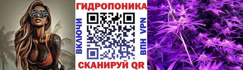 Бошки марихуана THC 21%  Купить где  Усть-Лабинск 